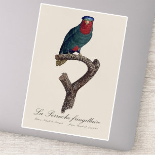 Blau-Kronen-Lori, Vini Australis Aufkleber