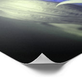 Blau-Linsenfarbe Schwarz-Weiß-Blume Poster (Ecke)