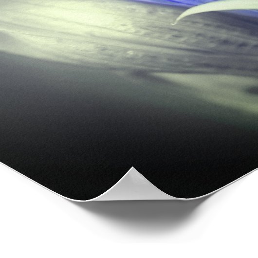 Blau-Linsenfarbe Schwarz-Weiß-Blume Poster (Ecke)