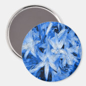 Blau... Magnet (Vorderseite/Rückseite)