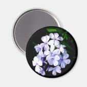 Blau Magnet (Vorderseite/Rückseite)