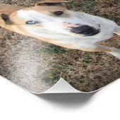 blau-mit Augen+braun-mit Augen Fotodruck (Ecke)