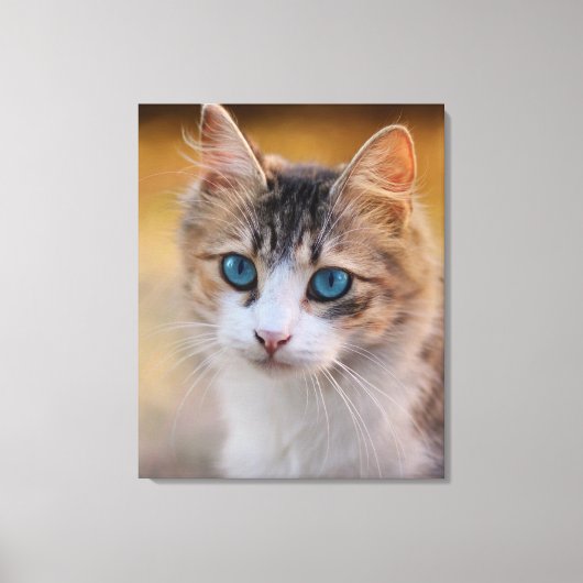 Blau - Mit Augen Katze Leinwanddruck (Vorderseite)