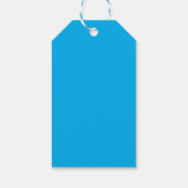 Blau Moderne Elegante Schlichte Professionelle Nam Geschenkanhänger (Rückseite)