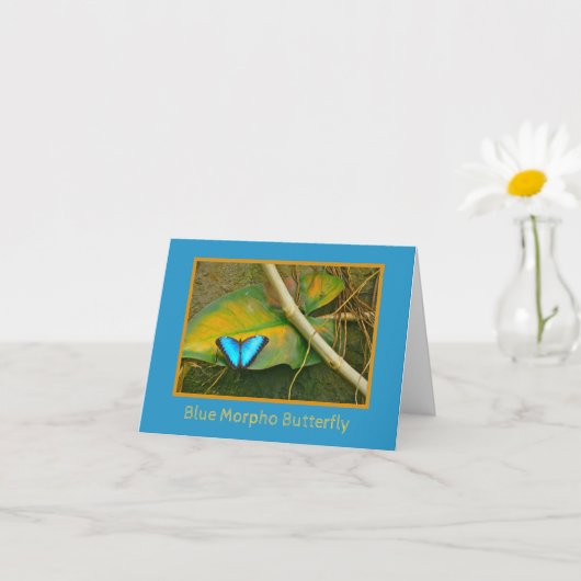 BLAU MORPHO BUTTERFLY #2 NOTECARD KARTE (Kleines Gewächs)