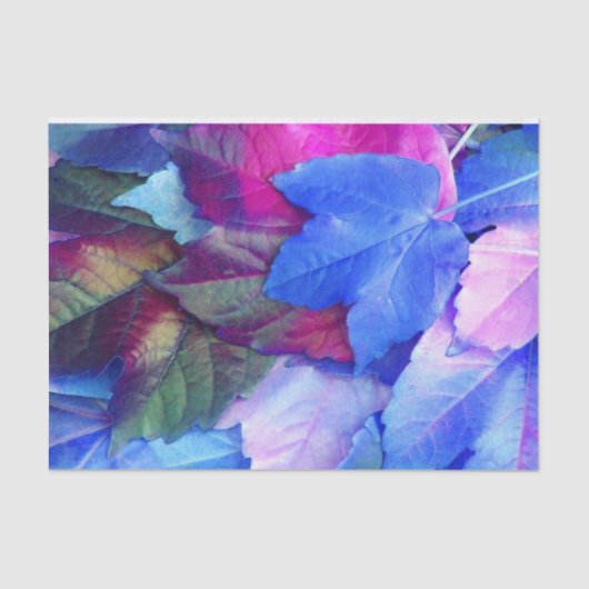 Blau-N-Rosa-Blätter Seidenpapier (Vorderseite)