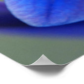 Blau-Pink-Orchid-Poster Poster (Ecke)