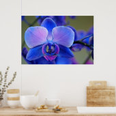 Blau-Pink-Orchid-Poster Poster (Küche)