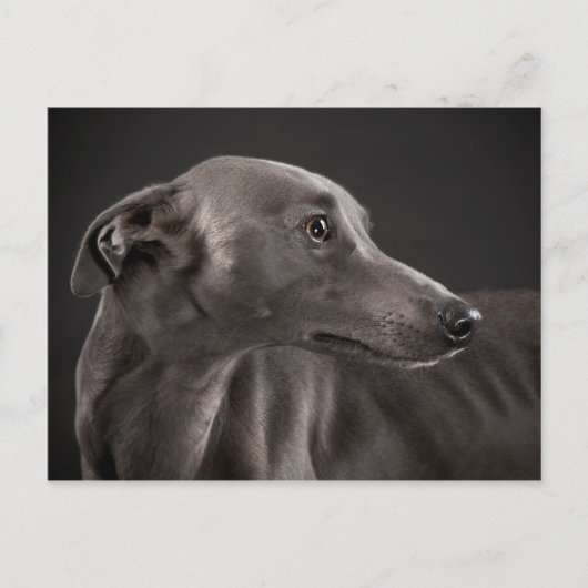 Blau Postkarte (Vorderseite)