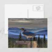 BLAU POSTKARTE (Vorne/Hinten)