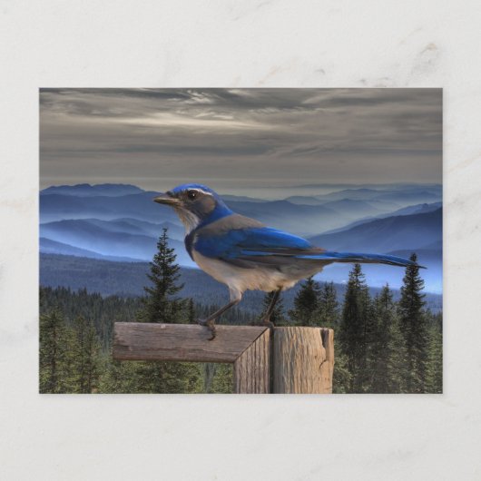 BLAU POSTKARTE (Vorderseite)