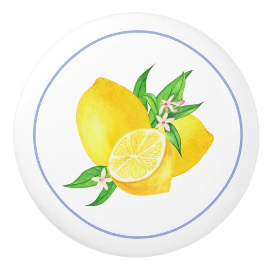 Blau-Rahmen und Limonenwasserfarbe Keramikknauf (Vorderseite)