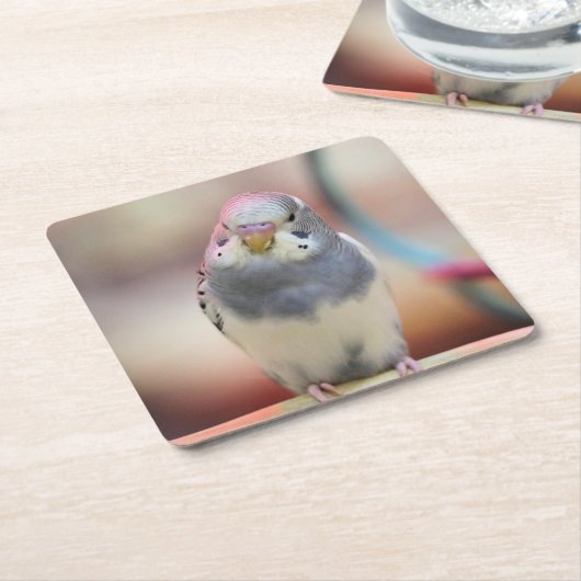 Blau Rechteckiger Pappuntersetzer (angewinkelt)