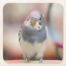 Blau Rechteckiger Pappuntersetzer