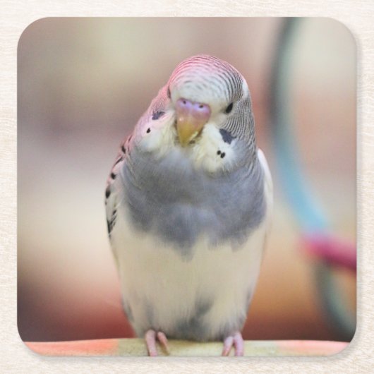 Blau Rechteckiger Pappuntersetzer (Vorderseite)