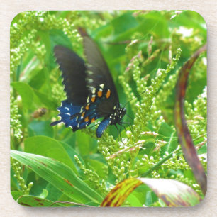 Blau Schwarz und Orange Butterfly Getränkeuntersetzer