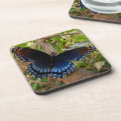 Blau-schwarzes Frack im Ohio Garden Getränkeuntersetzer (Linke Seite)