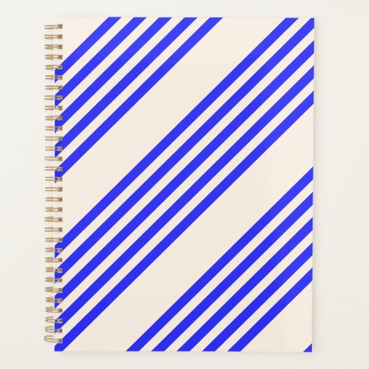 Blau und Beige, fünf Streifen Planer (Vorderseite)