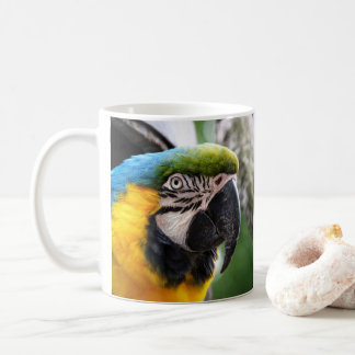 Blau- und Gelb Ara Kaffeetasse