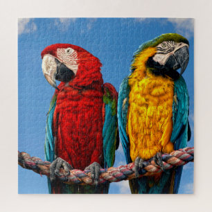 Blau und gelb, Ara und ein Rasierapparat Puzzle