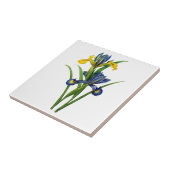 Blau und Gelb Iris von Redoute Fliese (Seite)