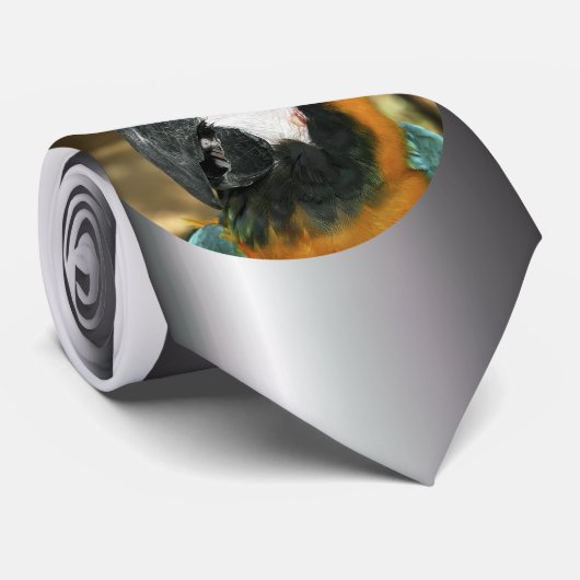 Blau und Gelb von Amazon Krawatte (Gerollt)