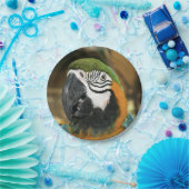 Blau und Gelb von Amazon Pappteller (Party)