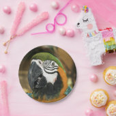 Blau und Gelb von Amazon Pappteller (Party)