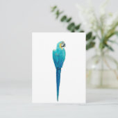 Blau und Gelb von Junglewalk.com Postkarte (Stehend Vorderseite)