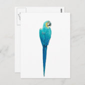 Blau und Gelb von Junglewalk.com Postkarte (Vorne/Hinten)