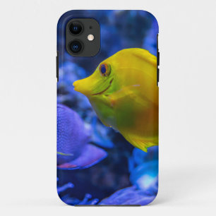 Blau und gelb zwei schöne Fische Case-Mate iPhone Hülle