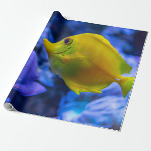 Blau und gelb zwei schöne Fische Geschenkpapier