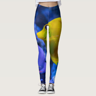 Blau und gelb zwei schöne Fische Leggings