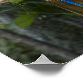 Blau- und Gelbblau-Poster Poster (Ecke)