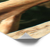 Blau- und Gelbblau-Poster Poster (Ecke)