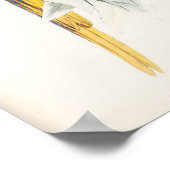 Blau- und Gelbblau-Poster Poster (Ecke)