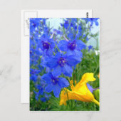 Blau- und Gelbblumen Postkarte (Vorne/Hinten)