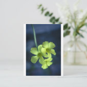 Blau- und Gelbblumen Postkarte (Stehend Vorderseite)
