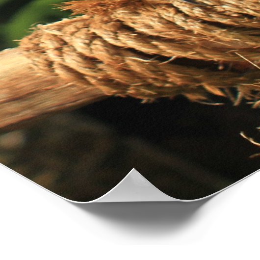 Blau- und Gelbfärbung Poster (Ecke)