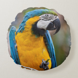 Blau- und Gelbkissen Rundes Kissen
