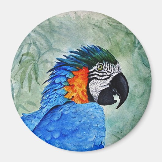 Blau- und Goldara Magnet (Vorne)