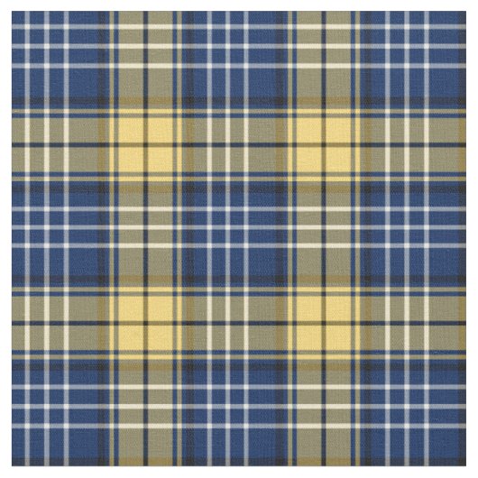 Blau und Goldkundenspezifischer Coyle Stoff (Nahaufnahme)