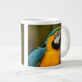 Blau und Goldmacaw Jumbo-Tasse (Vorderseite Rechts)