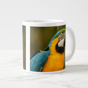 Blau und Goldmacaw Jumbo-Tasse