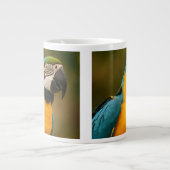 Blau und Goldmacaw Jumbo-Tasse (Vorderseite)