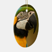 Blau und Goldmacaw Keramikornament (Rechts)