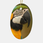Blau und Goldmacaw Keramikornament (Links)