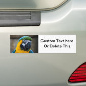 Blau und Goldmacaw plappern Hauptansicht c nach Autoaufkleber (Auf Auto)