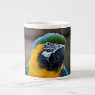 Blau und Goldmacaw plappern Hauptansicht c nach Jumbo-Tasse
