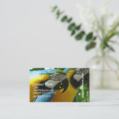 Blau und Goldmacaws-Visitenkarte Visitenkarte (Stehend Vorderseite)